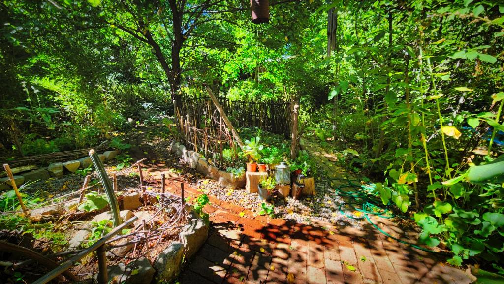 Zahrada ubytování El Jardin, Eco Cabañas Boutique