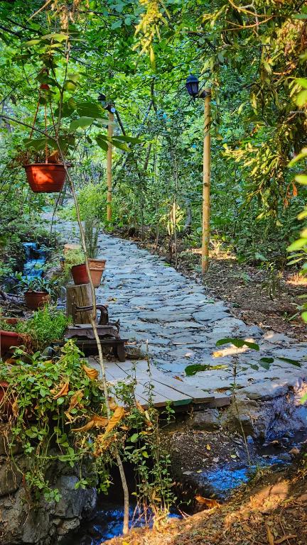 Zahrada ubytování El Jardin, Eco Cabañas Boutique