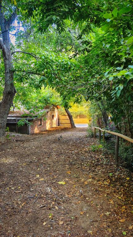 Zahrada ubytování El Jardin, Eco Cabañas Boutique