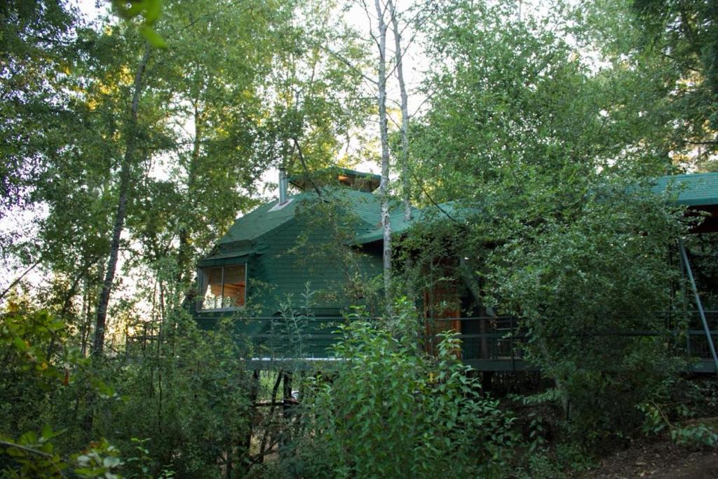 a green house in the middle of the forest at Glamping Domo Valle de Rabones in Colbún Alto