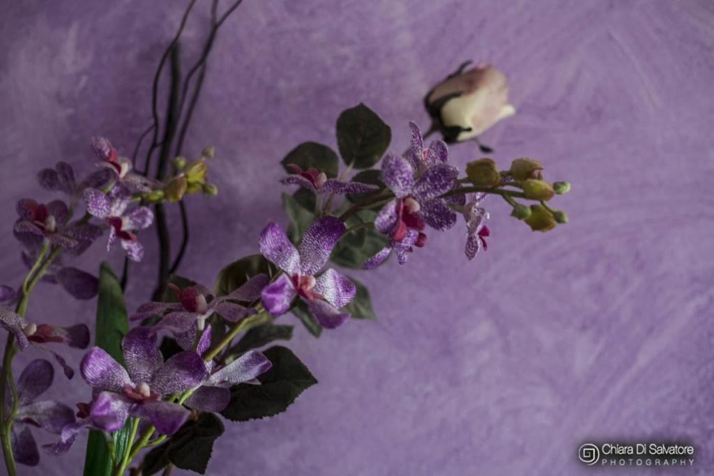 Fotografie z fotogalerie ubytování B&B Villa Francesco v destinaci Marina di Ragusa
