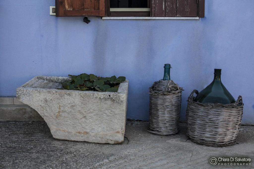 Fotografie z fotogalerie ubytování B&B Villa Francesco v destinaci Marina di Ragusa