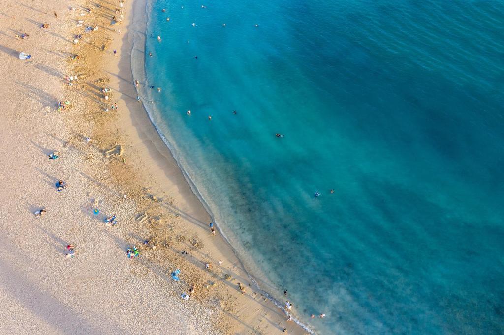 an overhead view of a beach with people and the ocean at Incredible Location FREE parking in Waikiki in Honolulu