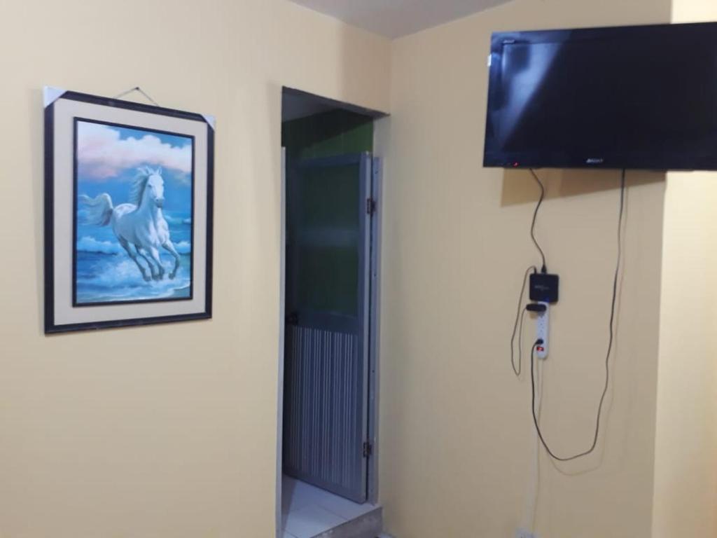 einen Fernseher in einem Zimmer mit Bild eines Pferdes in der Unterkunft nice house in Ecuadorian Amazonia in Tena