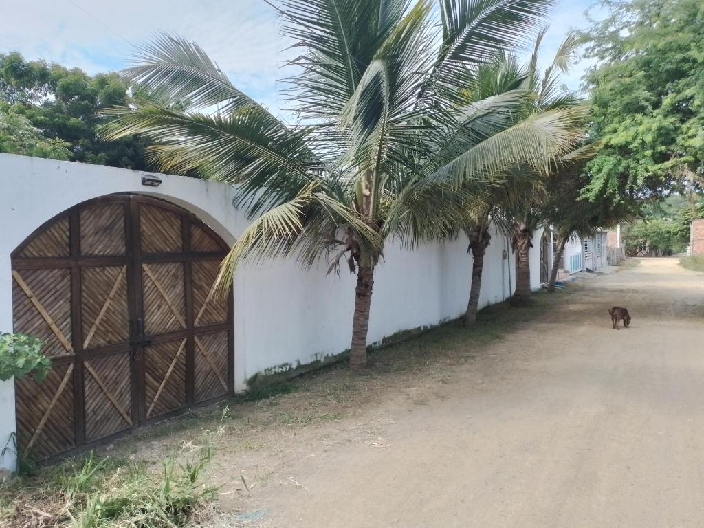 麻查利亞的住宿－Casa de playa，一只狗站在白色的墙壁旁边,有大门和棕榈树