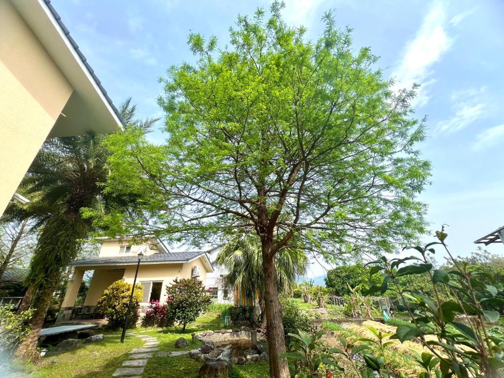 a tree in front of a house at Annongriver B&amp;B in Sanxing