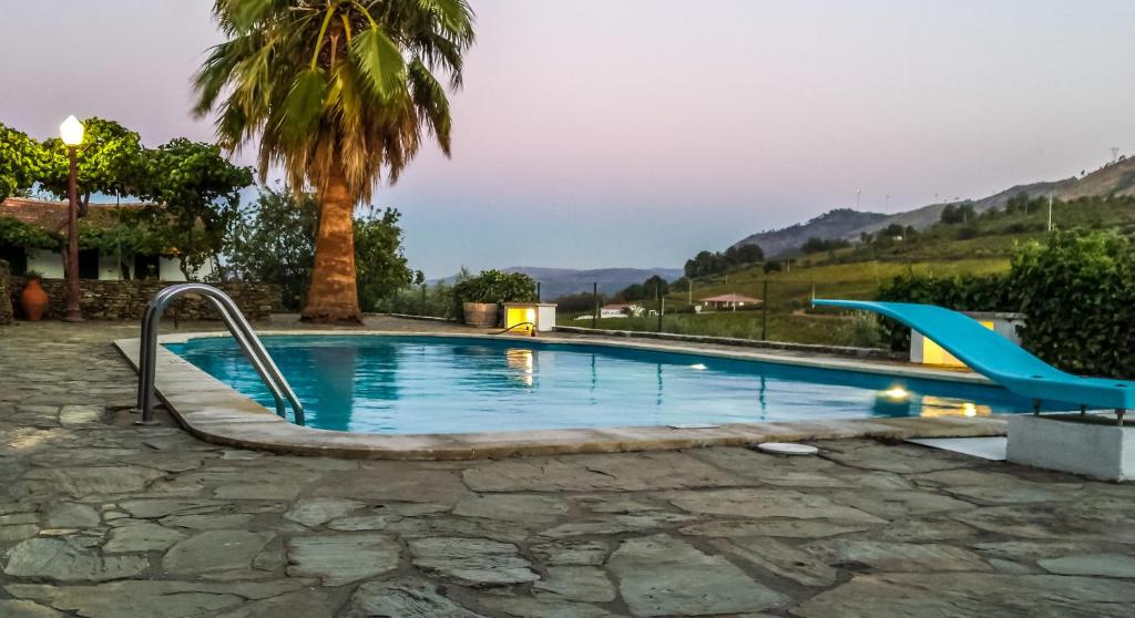 a swimming pool with a slide and a palm tree at Quinta da Padrela Winery House in Tabuaço