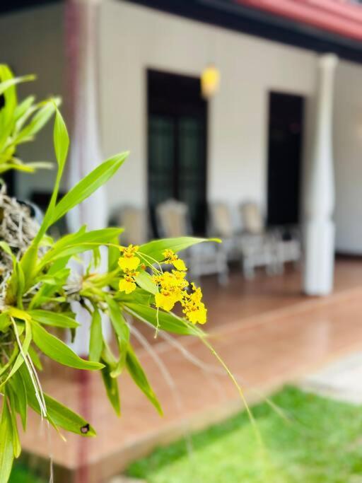 Zahrada ubytování Casa Winnie