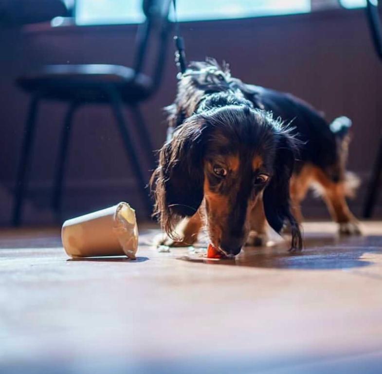 The Bournbrook Inn - Resim 19