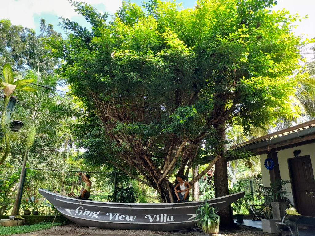 ゴールにあるGing View Villaの庭の木の横に座る船