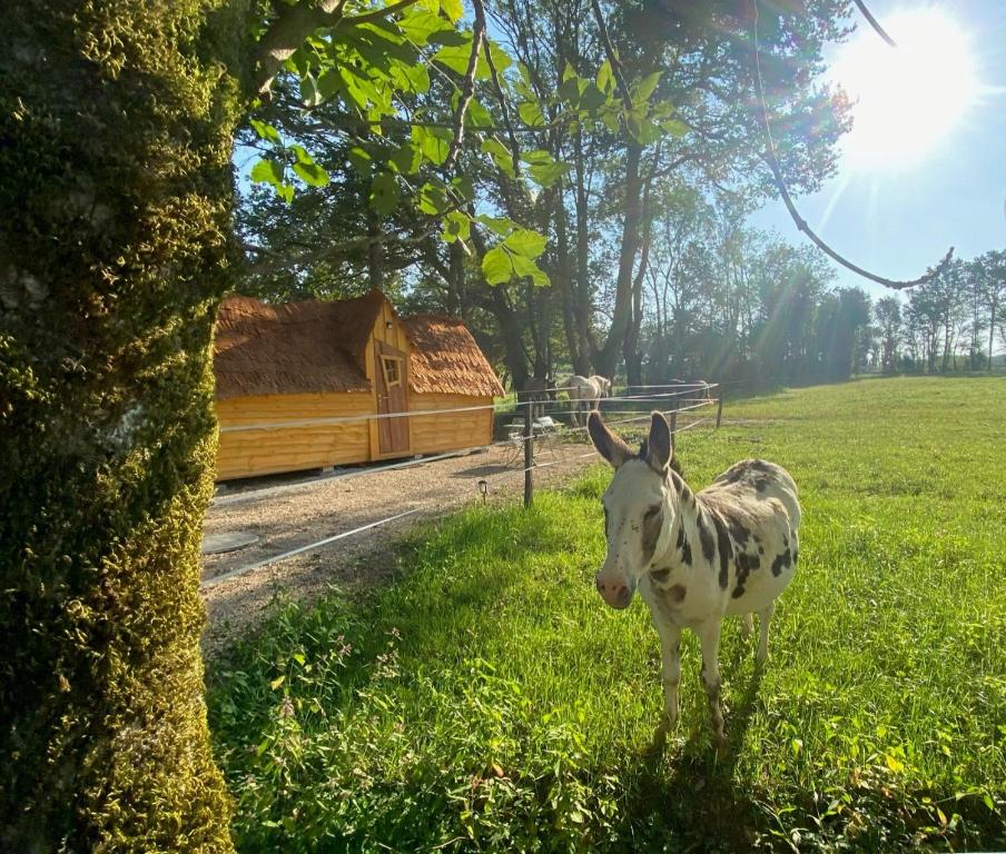 La cabane enchantée des Eternelles, Saint-Nizier-le-Bouchoux (updated