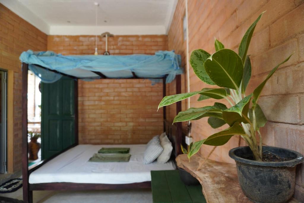 a bed in a room with a potted plant at PASSIONFRUIT HOMESTAY in Matara