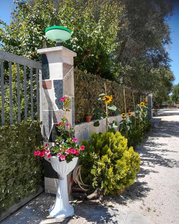A garden outside Villa Milla