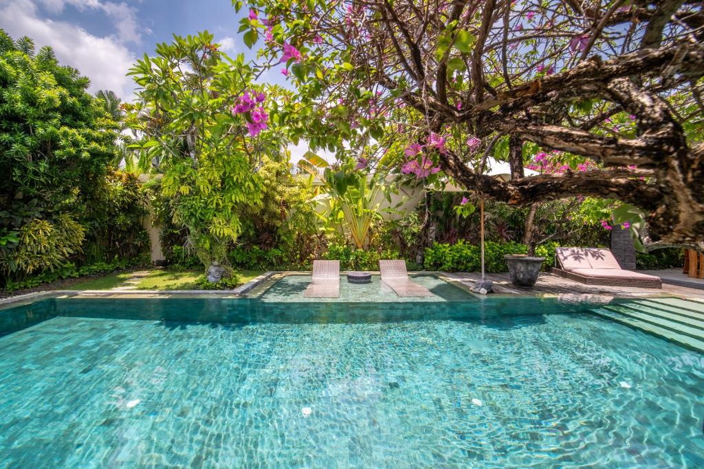 a swimming pool with two chairs and a tree at Villa Minha Gente Seminyak in Seminyak