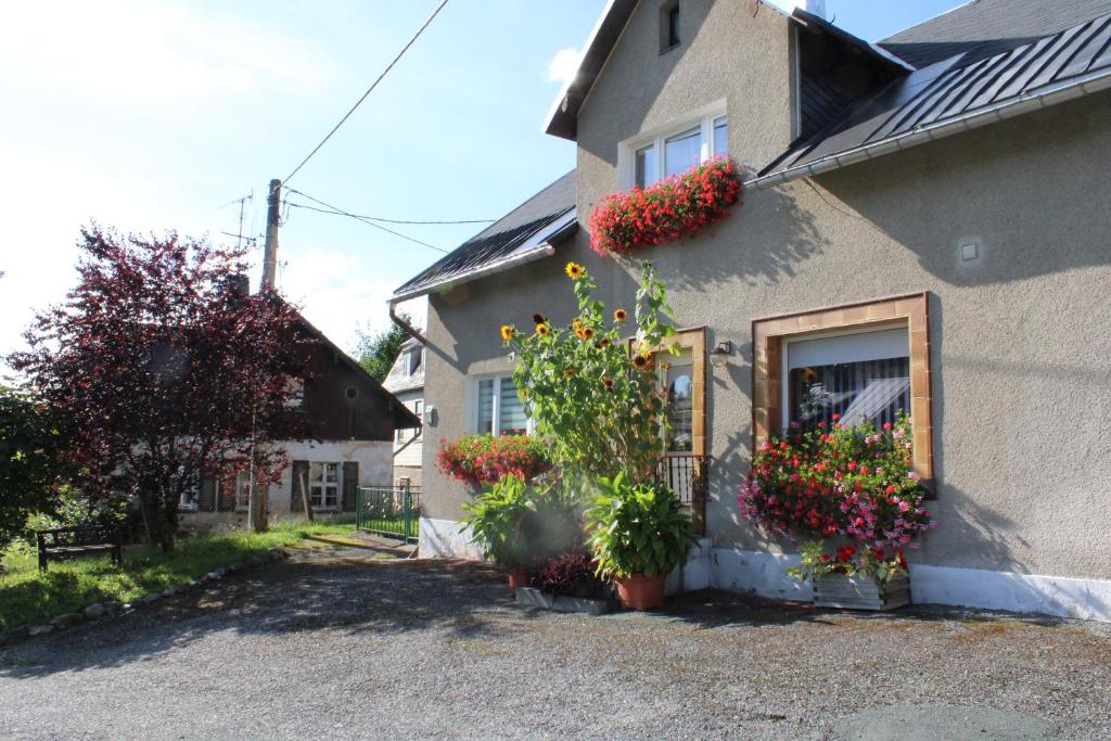 a house with flowers on the side of it at Ferienwohnung am Mühlbach in Klingenthal