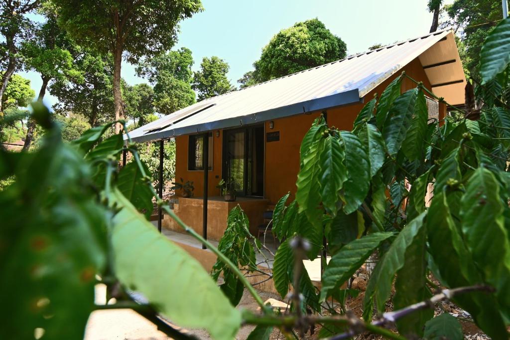 ein kleines Haus mitten im Wald in der Unterkunft Tenpy Tiny Scenic Garfield @ T-Stop, Coorg in Virajpet