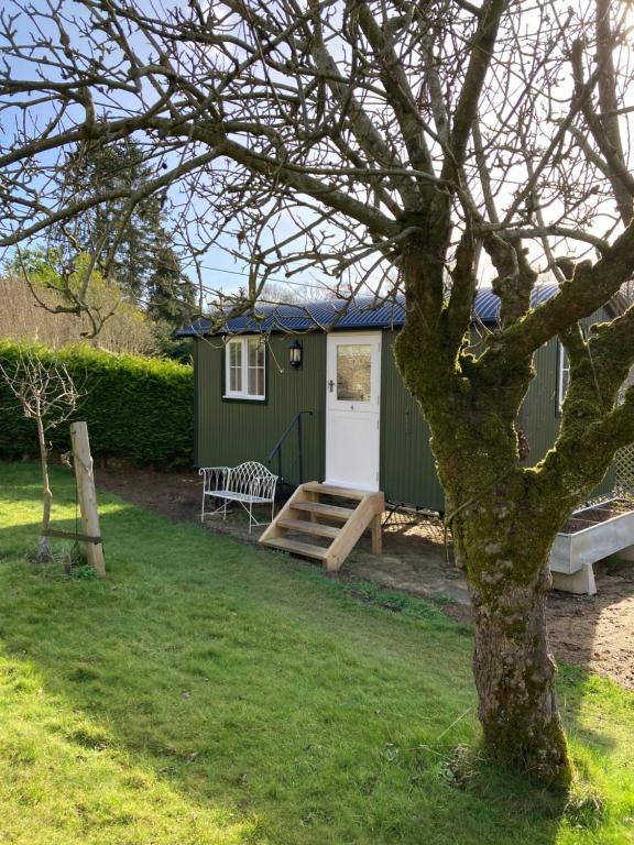 a green shed with a white door and a tree at Green Valley, Cotswold stay with hamper in Cheltenham