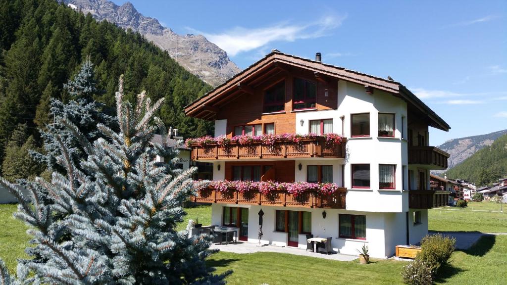 een huis in de bergen met een kerstboom bij Ferienhaus Antigua in Saas-Grund