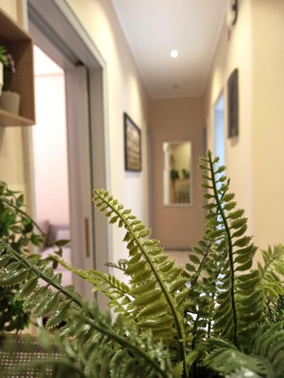 Fotografie z fotogalerie ubytování Kallaris Deluxe House v Soluni