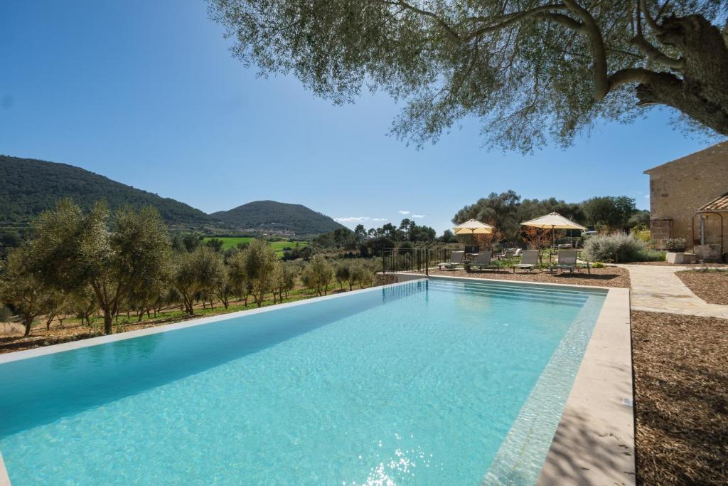 uma piscina com vista para uma montanha em Fincahotel Treurer - Olive Grove & Grand House - Adults Only em Algaida