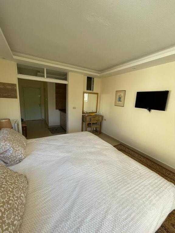 TV a/nebo společenská místnost v ubytování Classy Hostel