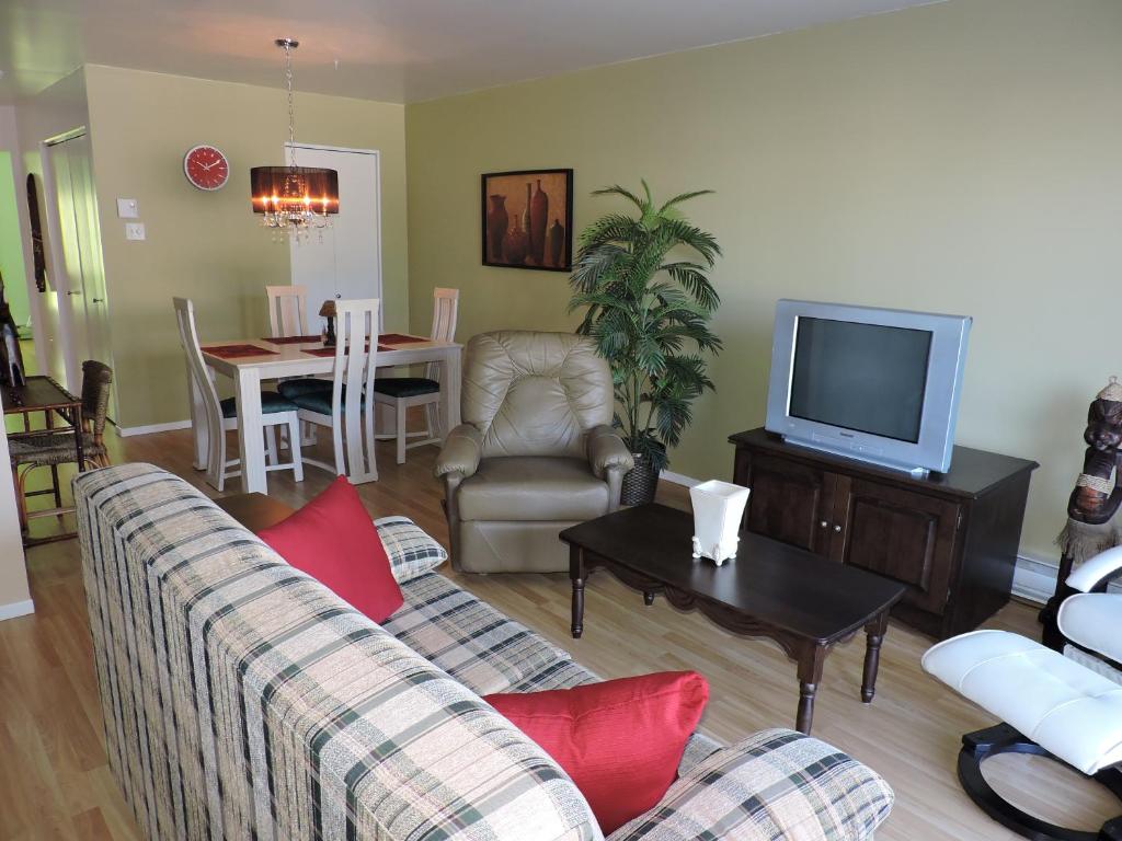 een woonkamer met een bank en een tv bij Appartement touristique #5 Immeuble MH in LʼAnse-Saint-Jean