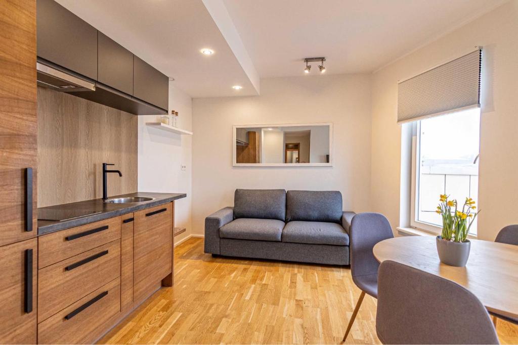 Aida 7 Apartment - One-Bedroom Apartment
