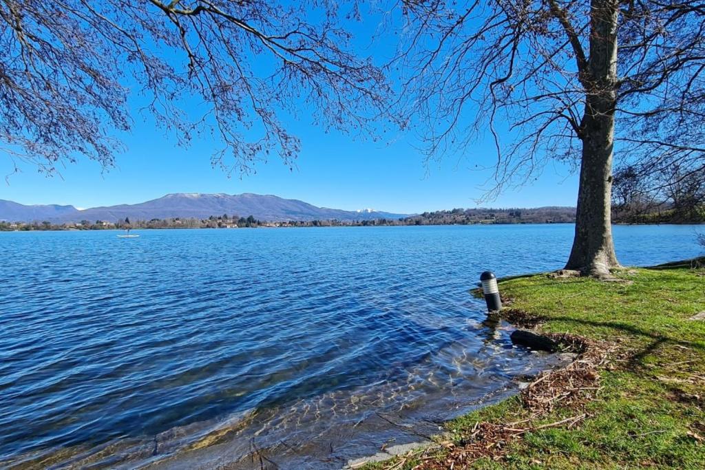 widok na jezioro z drzewem i wodą w obiekcie Casa Maddalena Private Beach on request - Happy Rentals w mieście Cadrezzate