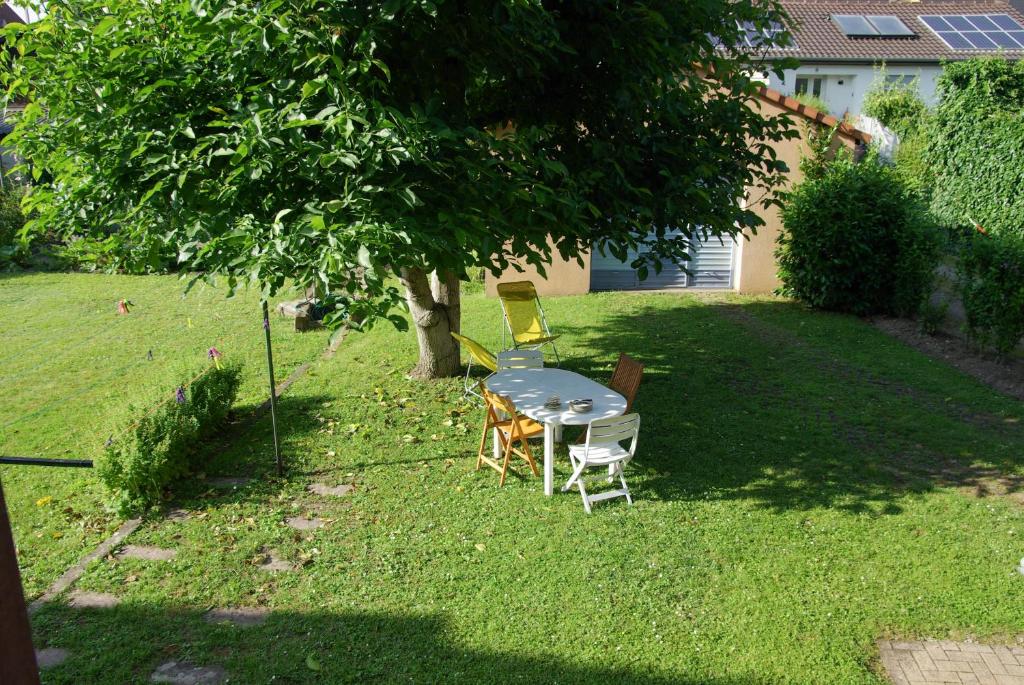 La Maison de Vacances de Colmar et son jardin – photo 3