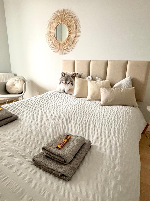 a dog is sitting on top of a bed at apartament Gaja in Świnoujście