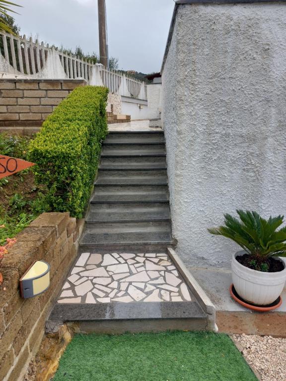 una escalera que conduce a una casa con una planta en Oasi Del Relax, en Civitavecchia