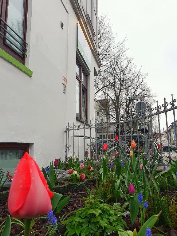 Aparthotel B & L - Resim 30