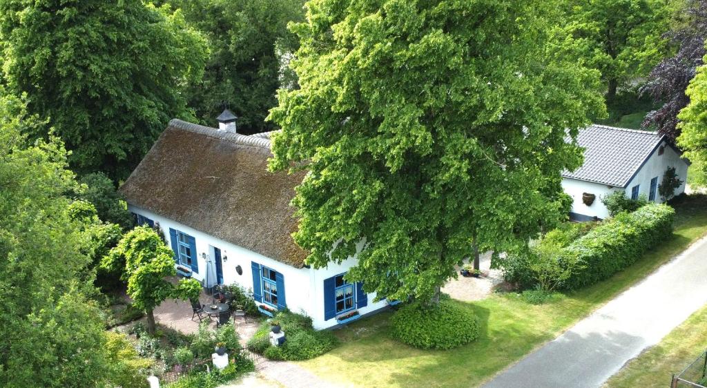 an overhead view of a white house with a tree at Droomboerderijtje in Merselo