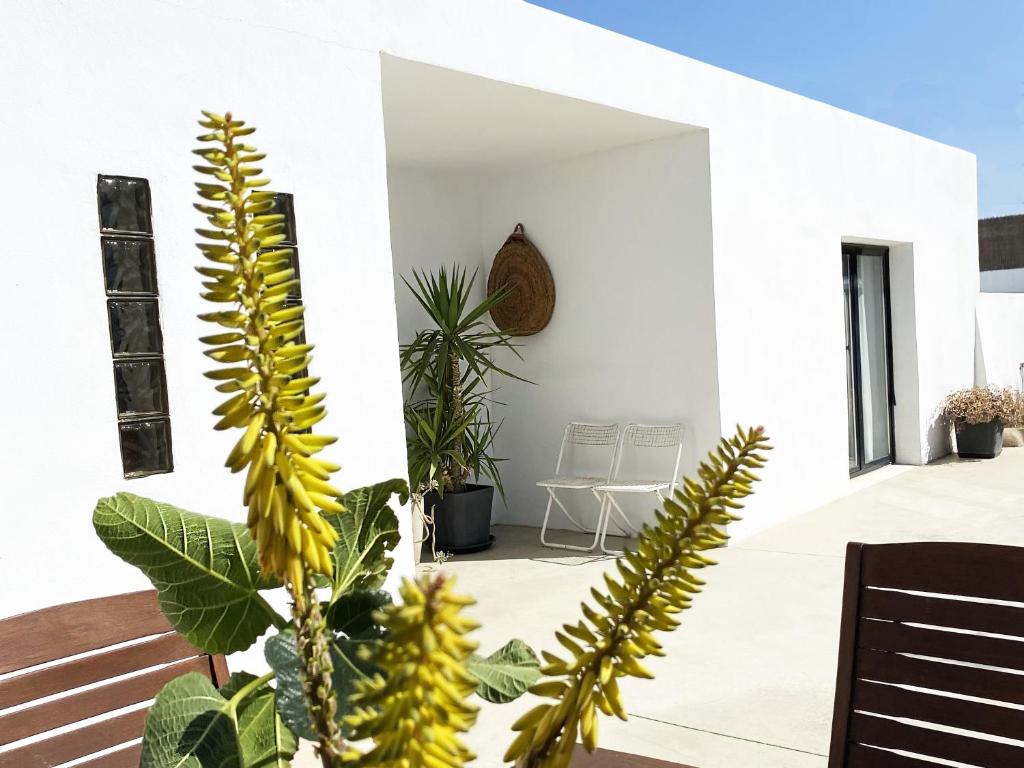 a white house with white walls and plants at ZAGV SPACE in Almería