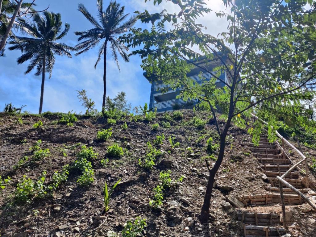 une maison sur une colline avec des palmiers dans l'établissement Azure Ocean View Villa, à Puerto Galera