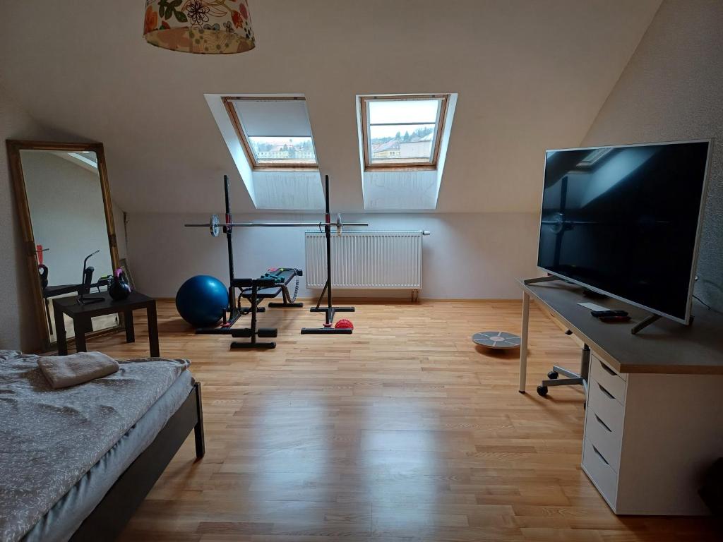 Telewizja i/lub zestaw kina domowego w obiekcie Apartmán Dvořák 194 pod Svatou horou