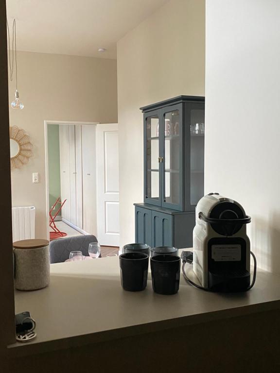 a kitchen with a toaster and three cups on a counter at Le Philibert Roux Centre Ville d'Auxerre in Auxerre