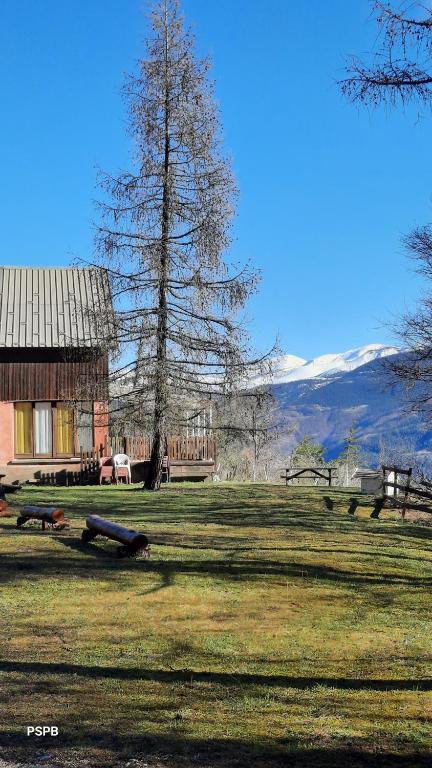 a tree in the middle of a field with a house at Refuge de Roncharel in Annot