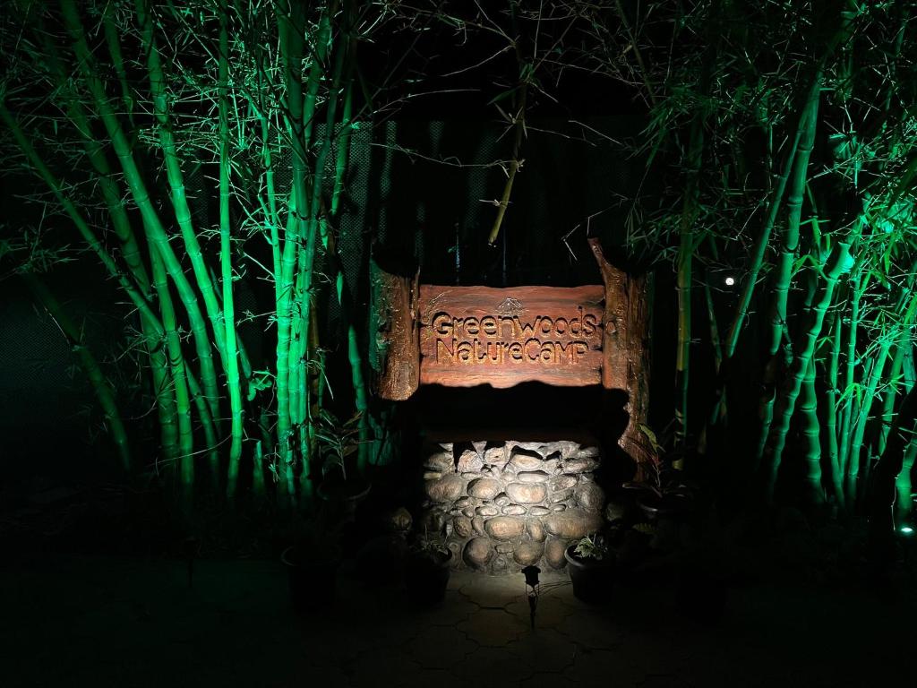 a bench in the dark with green lights at Greenwoods Nature Camp in Mudumalai National Park