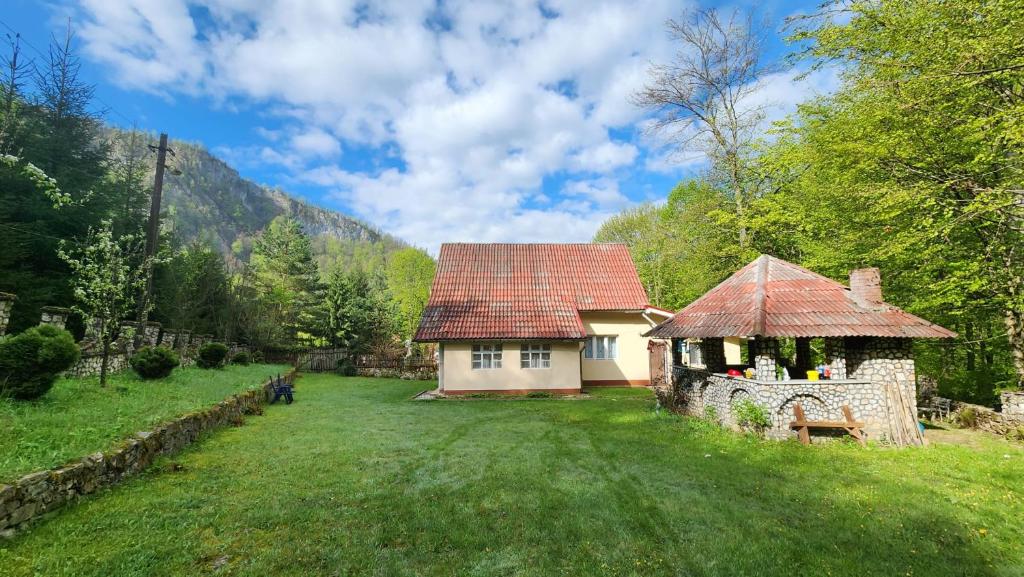 une petite maison avec un toit rouge dans une cour dans l'établissement Casa de vacanta Julius, à Padis