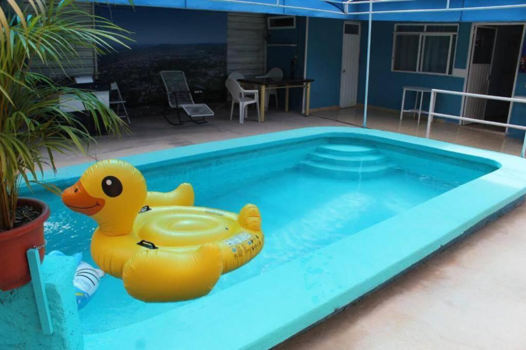 a toy yellow rubber duck sitting in a swimming pool at House With a Pool in Huajuapan de León