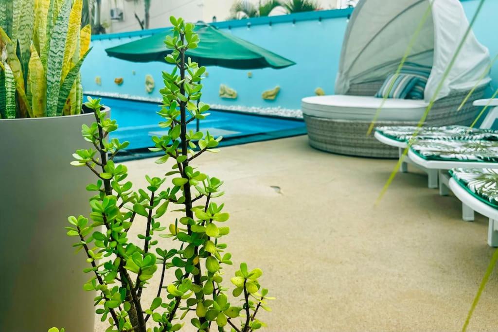 a plant in front of a room with a pool at Villa turquoise Exotique in Flic-en-Flac
