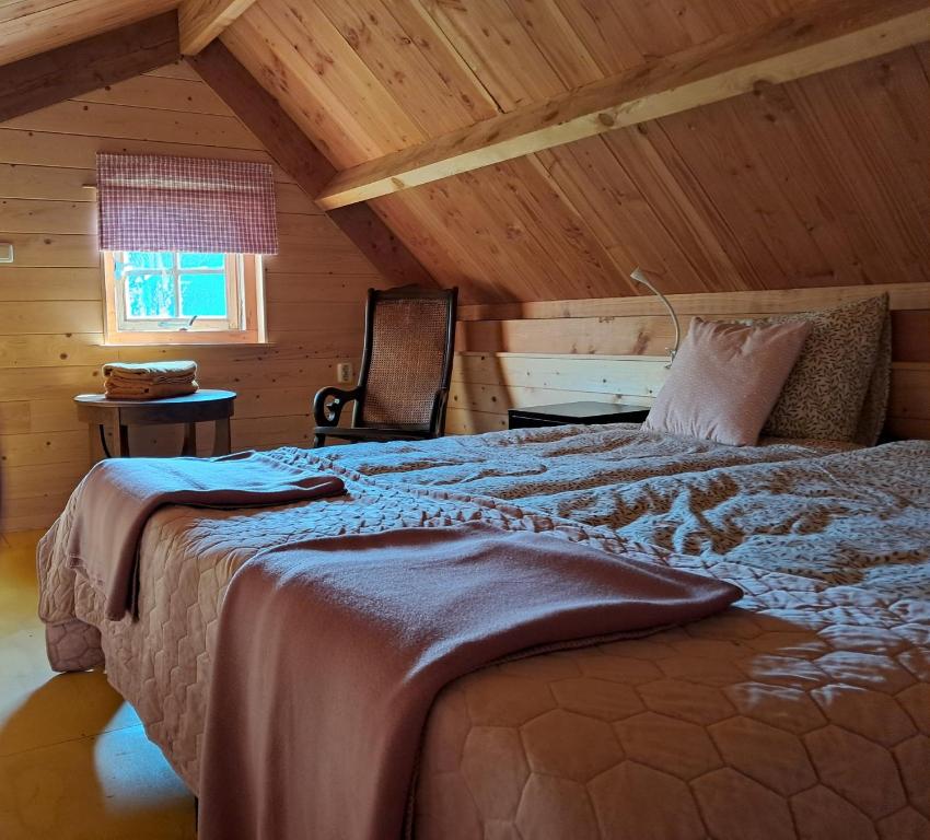 sypialnia z dużym łóżkiem na poddaszu w obiekcie Blokhut w mieście Ruinerwold