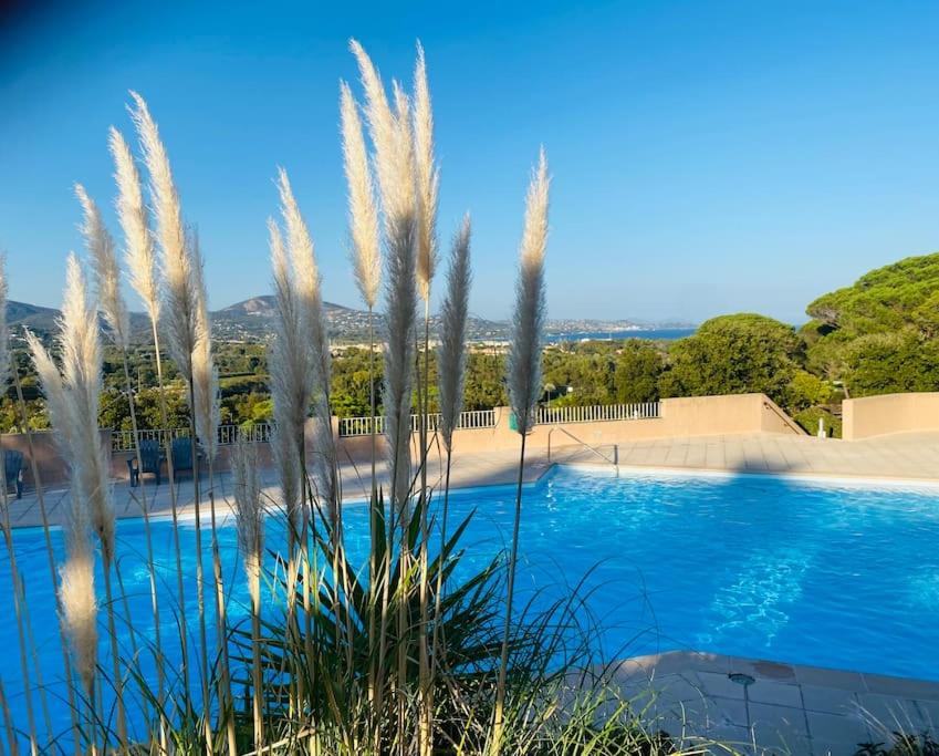 une piscine avec de l'herbe haute au premier plan dans l'établissement La Maison Soleil overlooking the Bay of St Tropez, à Cogolin