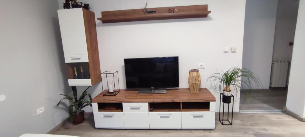 a tv sitting on top of a white entertainment center at Apartma Soča Oasis in Srpenica