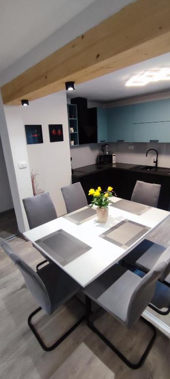 a dining table and chairs in a kitchen at Apartma Soča Oasis in Srpenica