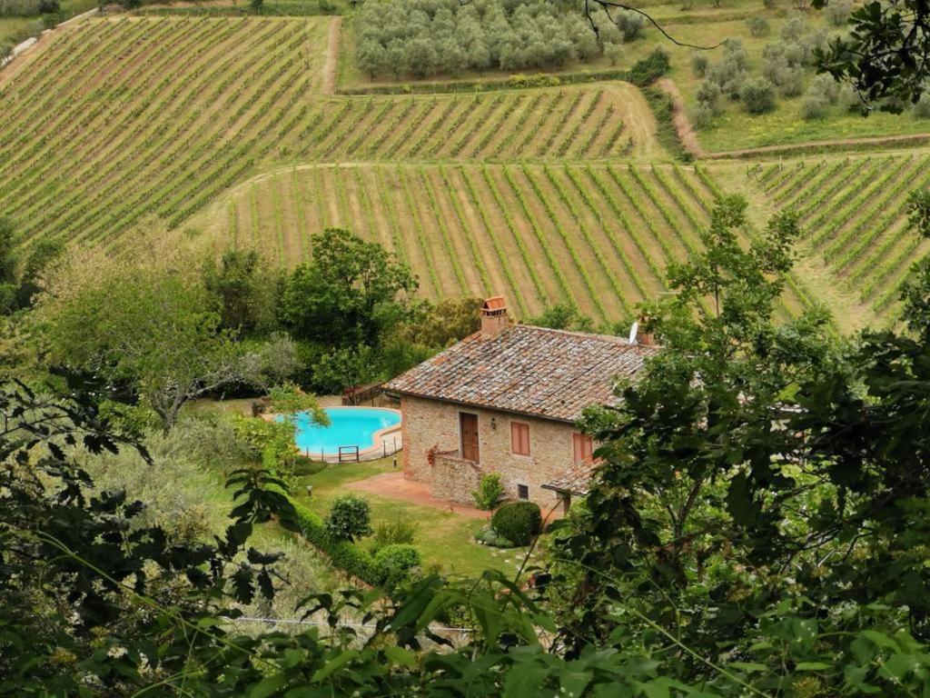 a house with a swimming pool in a vineyard at Casa Caterina in Moncioni