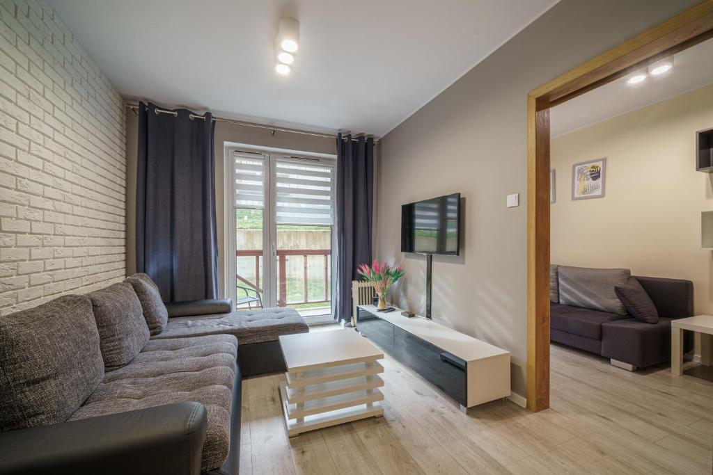 sala de estar con sofá y TV en Apartament9 Źródlana MountainAparts en Świeradów-Zdrój