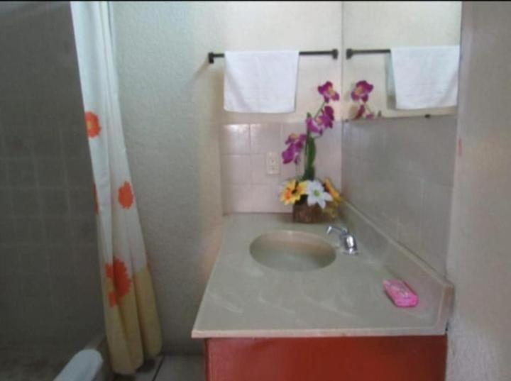 a bathroom with a sink with flowers and towels at Hotel Luigi in San Salvador