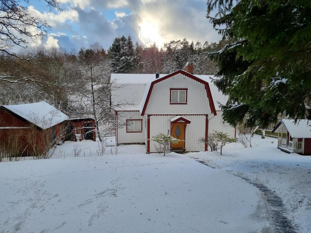 Charming Countryside Cottage في Varekil: بيت ابيض مع باب احمر في الثلج